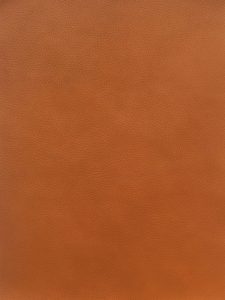 84PG07