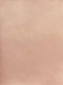 85PG08