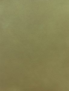 86PG09