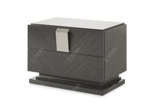 JSNS-002